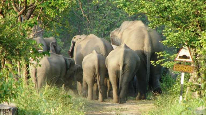wildlife sanctuaries in India