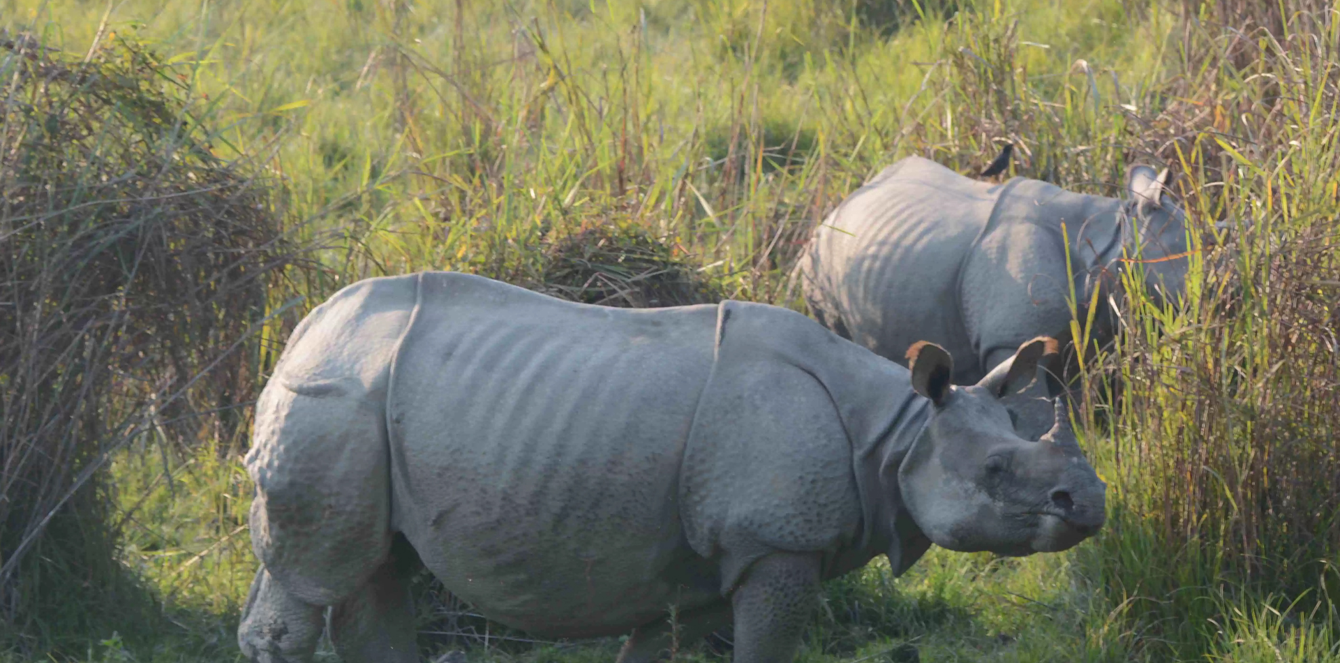 national park in India